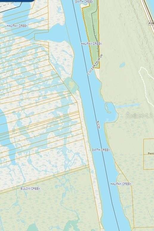 29 Acres of Land for Sale in Flagler Beach, Florida