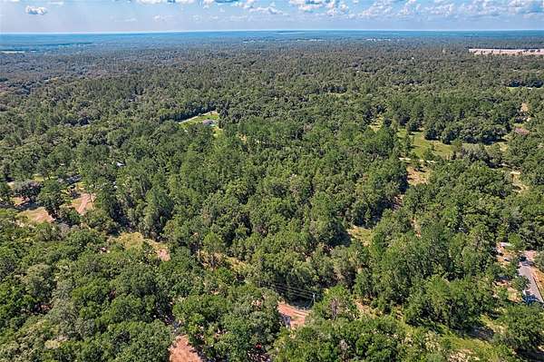 1.25 Acres of Residential Land for Sale in Bronson, Florida