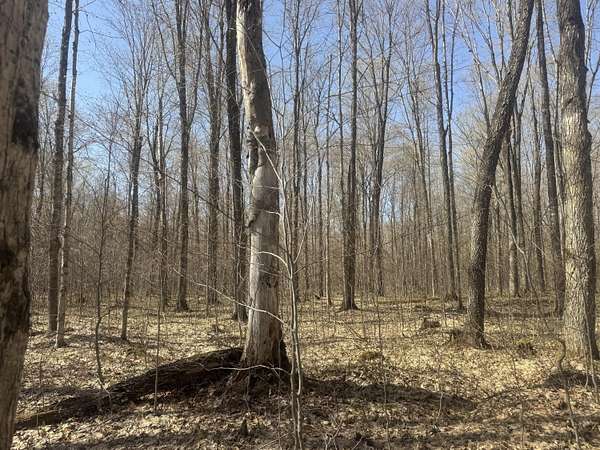 40 Acres of Recreational Land for Sale in Engadine, Michigan