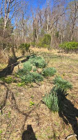 29 Acres of Land for Sale in Pilot, Virginia