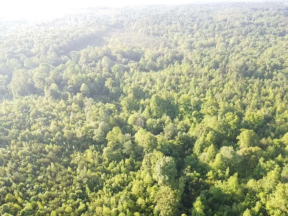 80 Acres of Land for Sale in Nathalie, Virginia