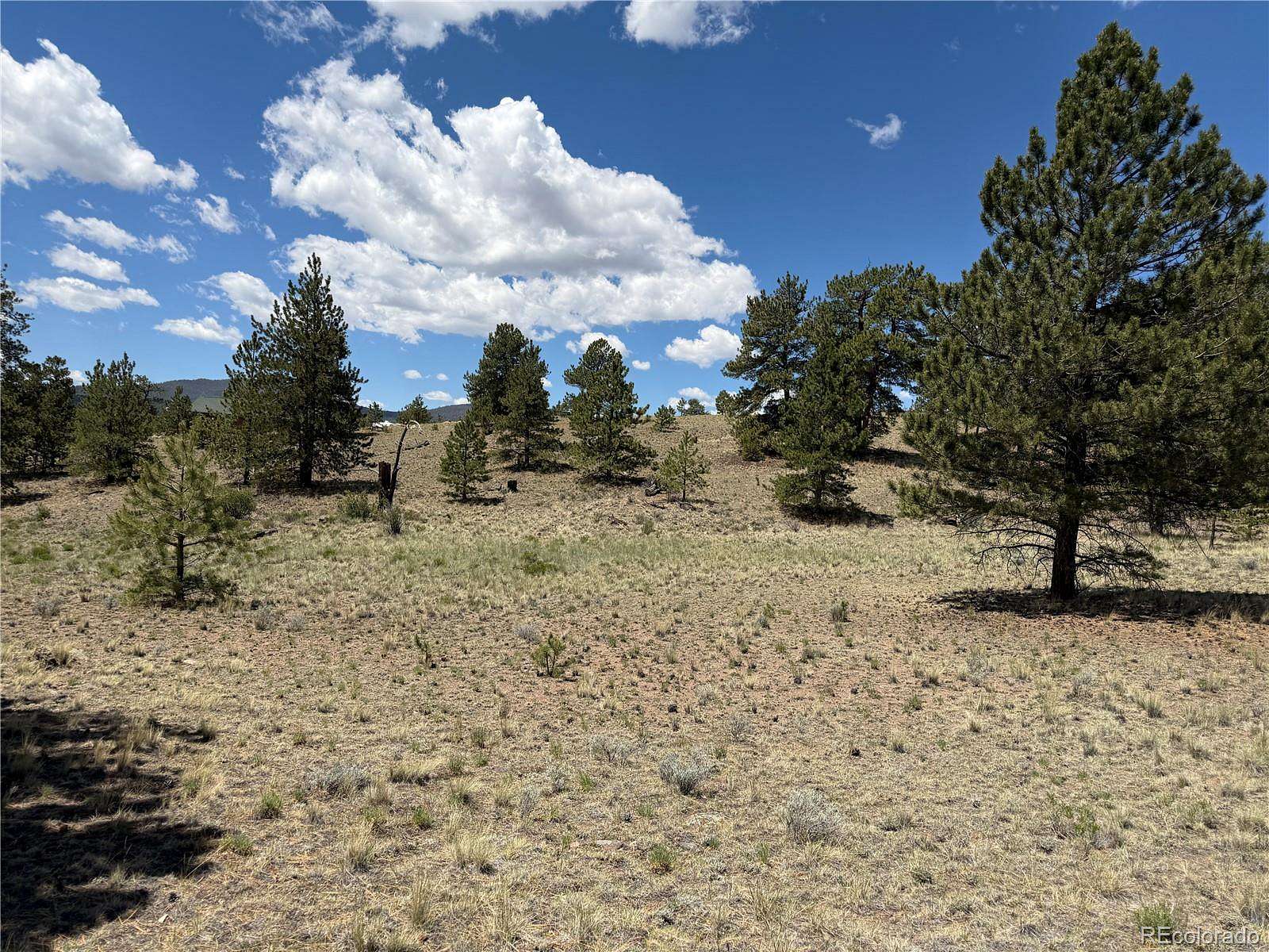 2 Acres of Residential Land for Sale in Hartsel, Colorado