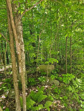 3 Acres of Land for Sale in Silver Cliff Town, Wisconsin