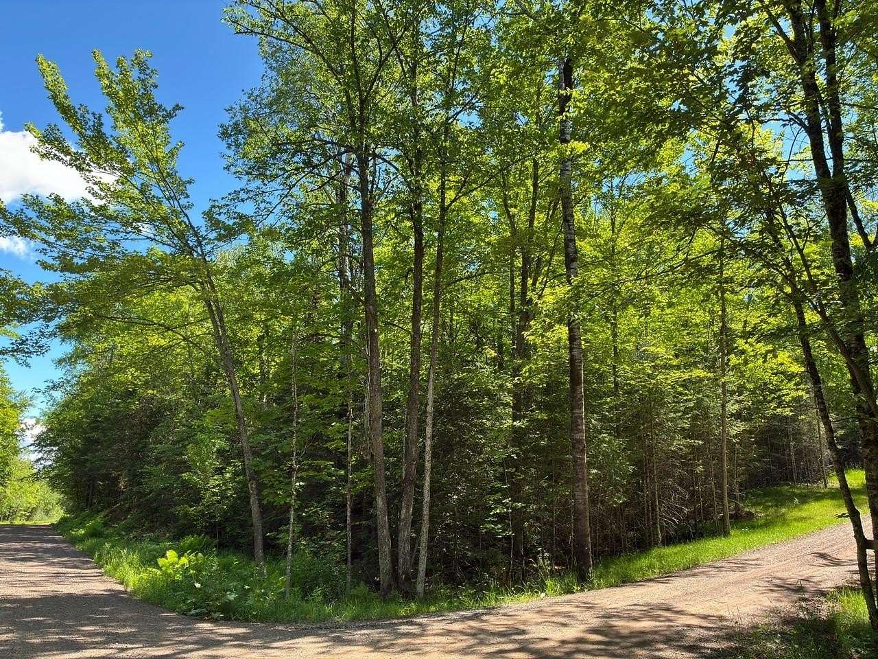 5 Acres of Residential Land for Sale in Presque Isle, Wisconsin
