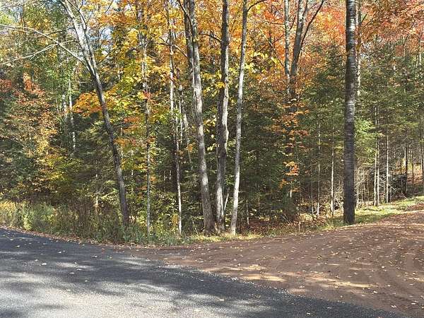 5 Acres of Residential Land for Sale in Presque Isle, Wisconsin