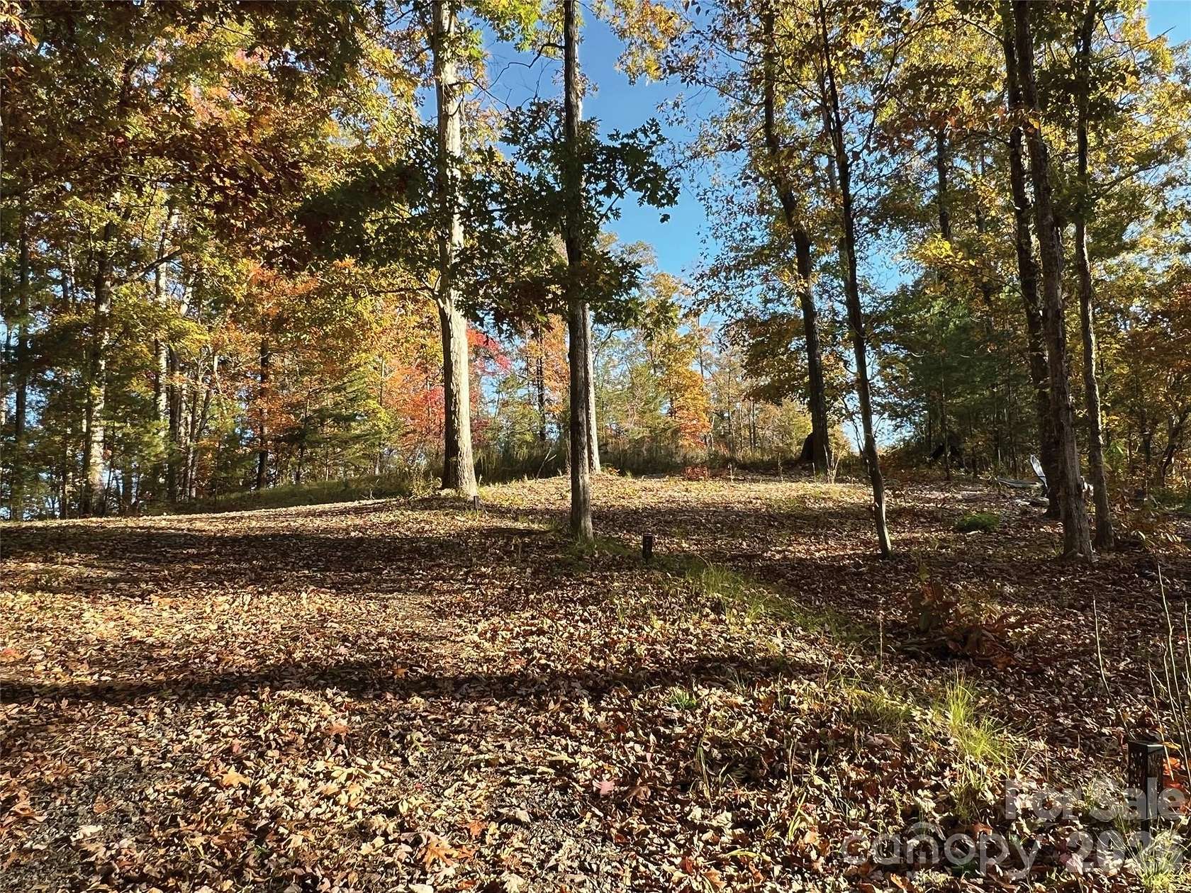 13.4 Acres of Land for Sale in Rutherfordton, North Carolina
