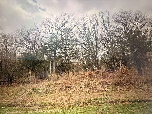 0.59 Acres of Land for Sale in Honey Grove, Texas