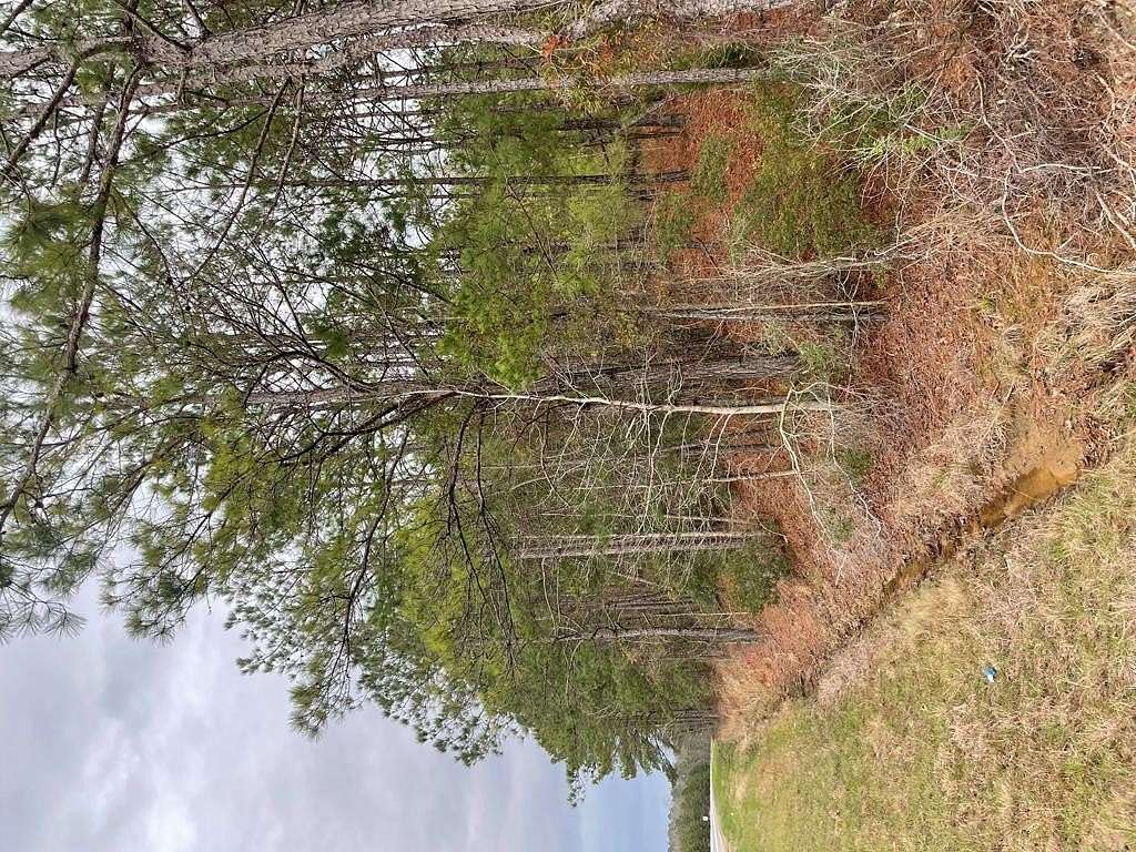 6.28 Acres of Residential Land for Sale in Phenix City, Alabama