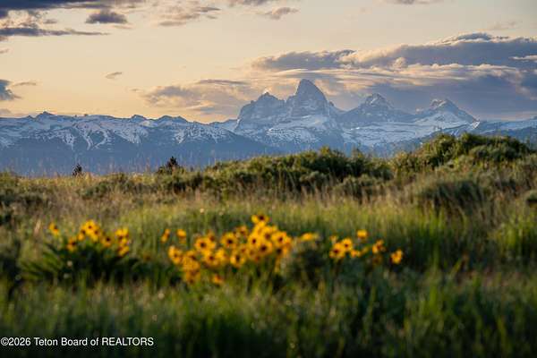 100 Acres of Land for Sale in Tetonia, Idaho