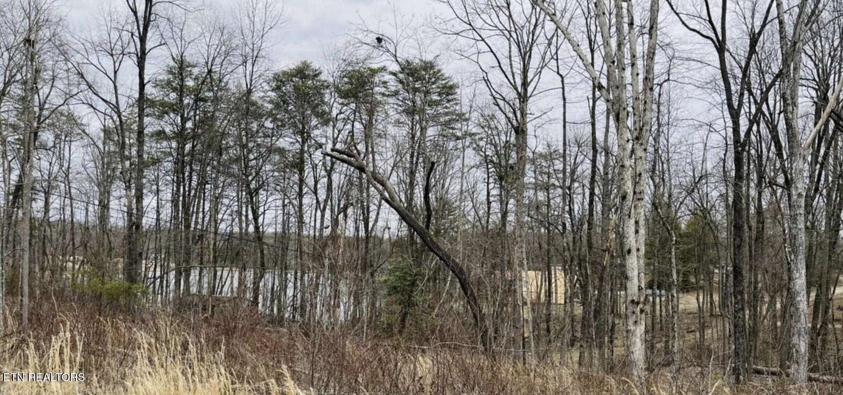 0.3 Acres of Residential Land for Sale in Crossville, Tennessee