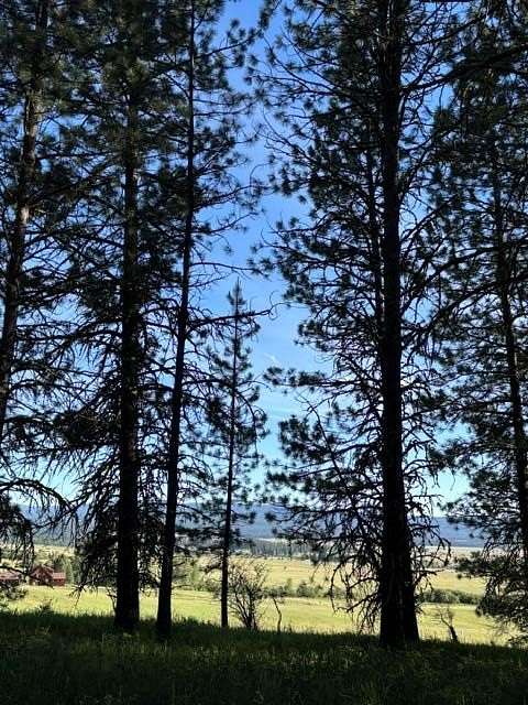 5 Acres of Residential Land for Sale in New Meadows, Idaho