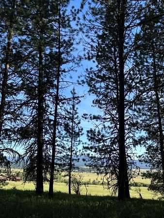 5 Acres of Residential Land for Sale in New Meadows, Idaho