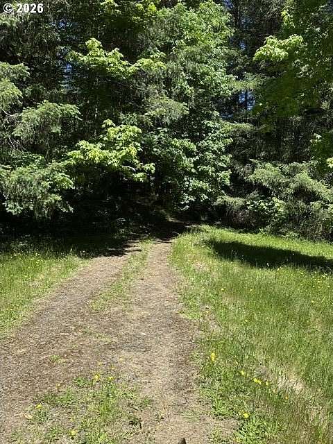 28 Acres of Land for Sale in Walton, Oregon