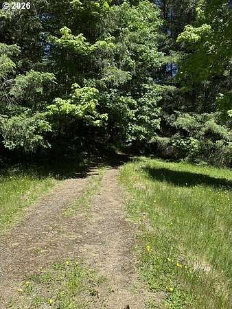 28 Acres of Land for Sale in Walton, Oregon