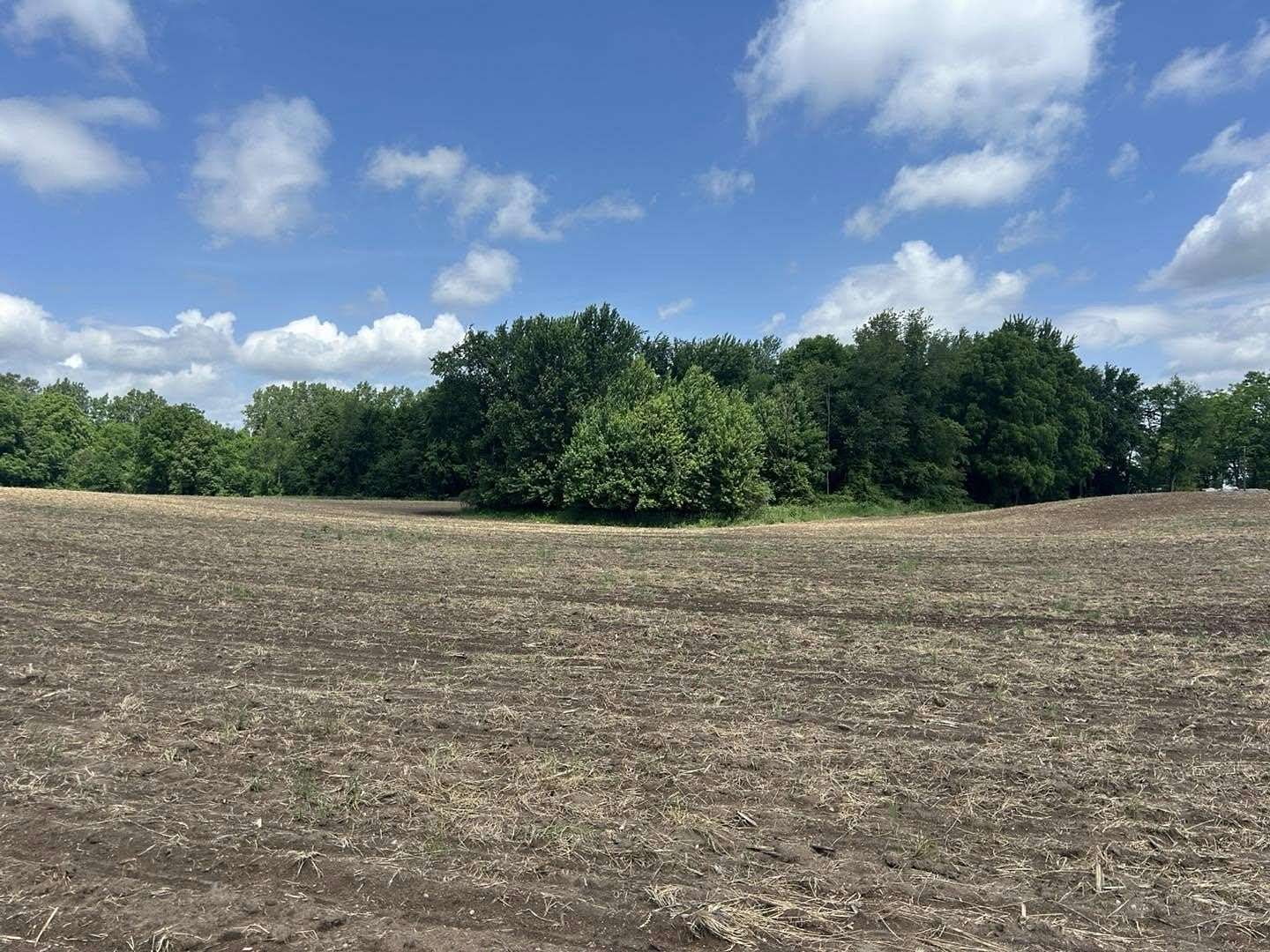 25 Acres of Land for Sale in Quincy, Michigan