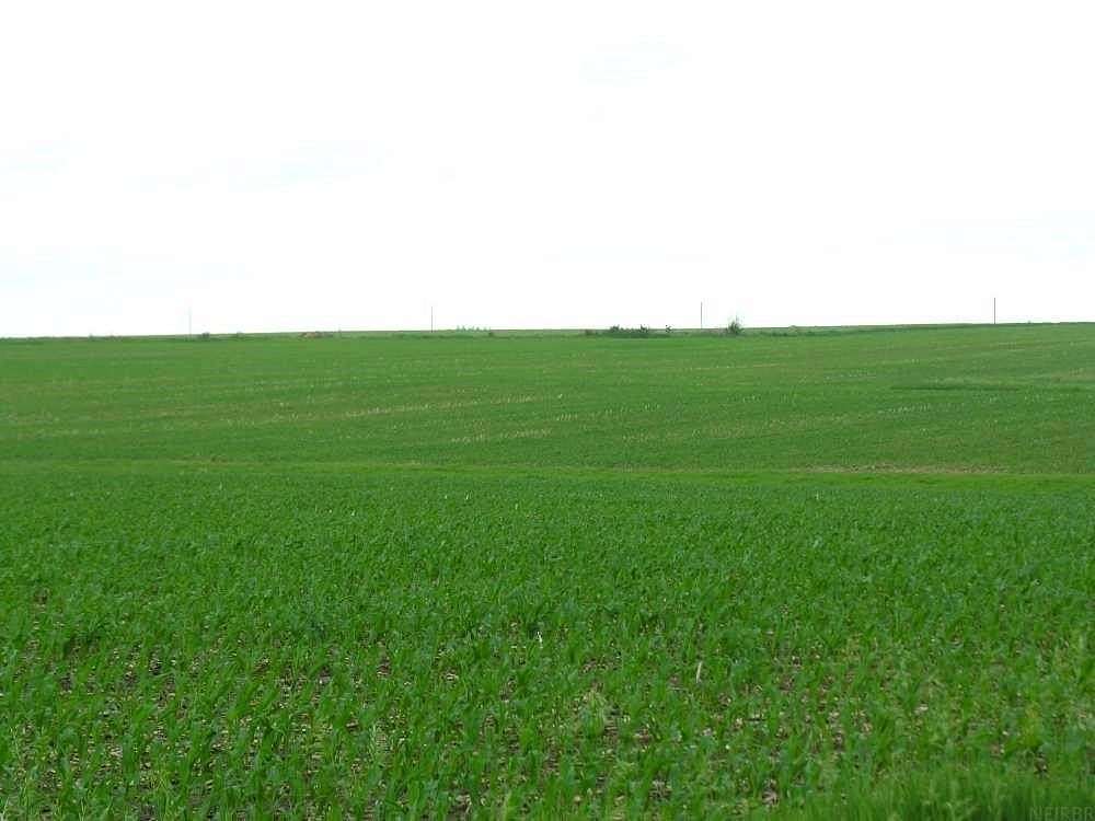 207 Acres of Agricultural Land for Sale in Little Cedar, Iowa