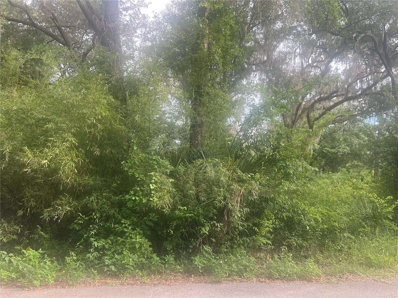 0.95 Acres of Residential Land for Sale in Silver Springs, Florida