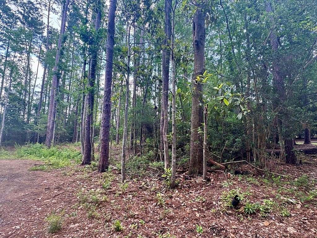 25 Acres of Land for Sale in Thomasville, Georgia