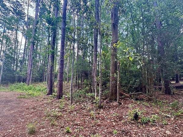 25 Acres of Land for Sale in Thomasville, Georgia