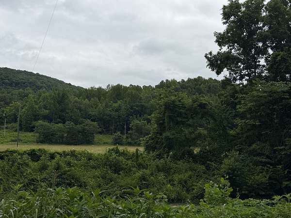 153 Acres of Recreational Land for Sale in Vendor, Arkansas