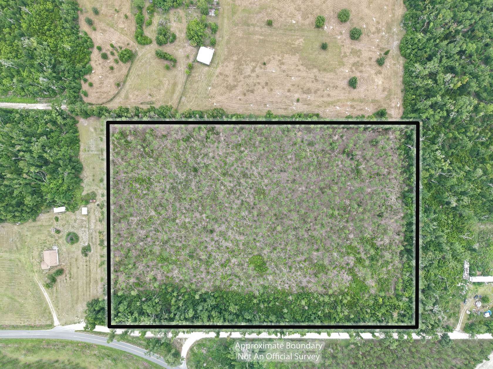 15 Acres of Recreational Land for Sale in Mayo, Florida
