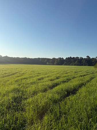 16 Acres of Land for Sale in Bonifay, Florida