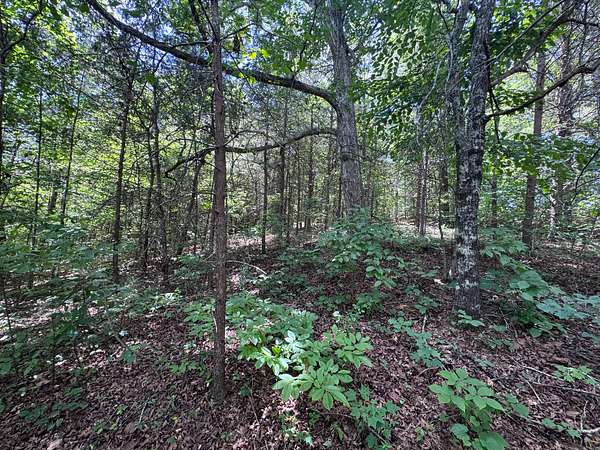 1.67 Acres of Land for Sale in Toccoa, Georgia