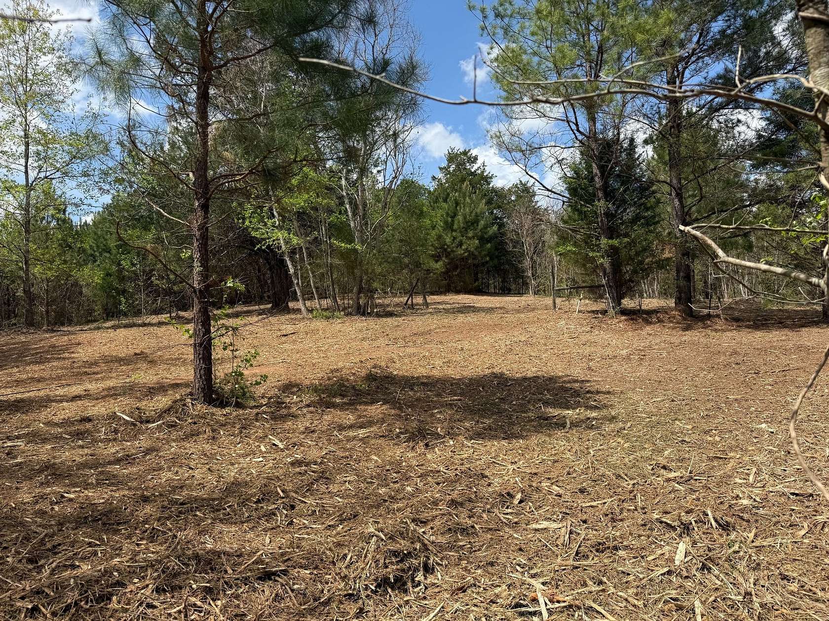20 Acres of Recreational Land for Sale in Ramer, Alabama