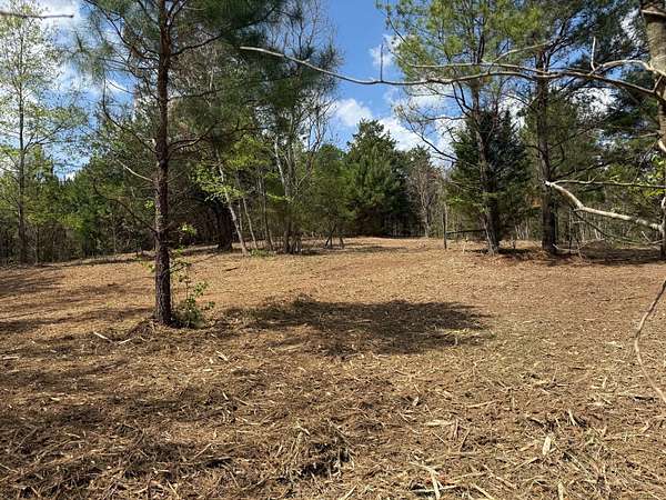 20 Acres of Recreational Land for Sale in Ramer, Alabama