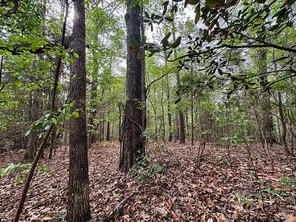 10 Acres of Recreational & Residential Land for Sale in Ramer, Alabama