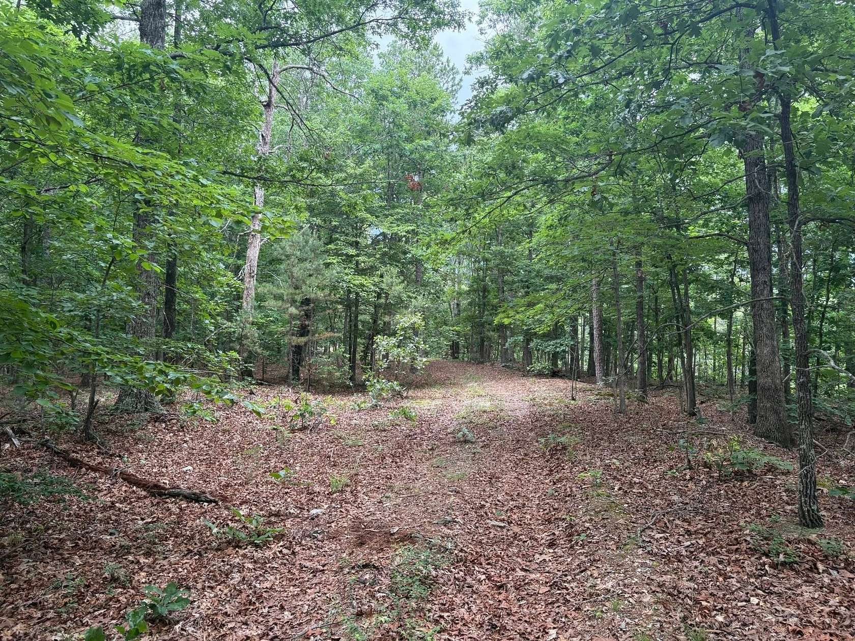 40 Acres of Land for Sale in Ellington, Missouri