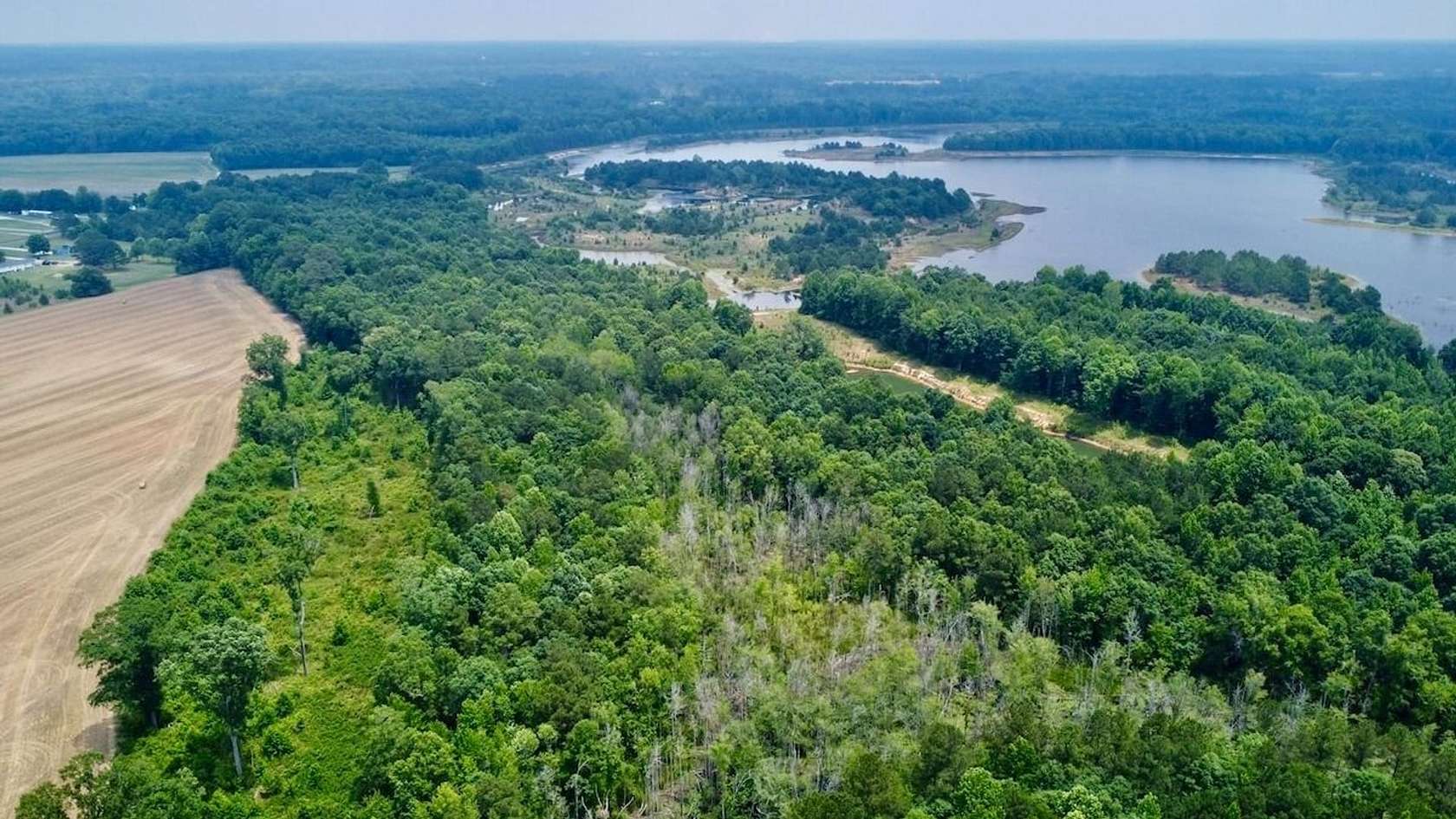 45 Acres of Land for Sale in Erwin, North Carolina
