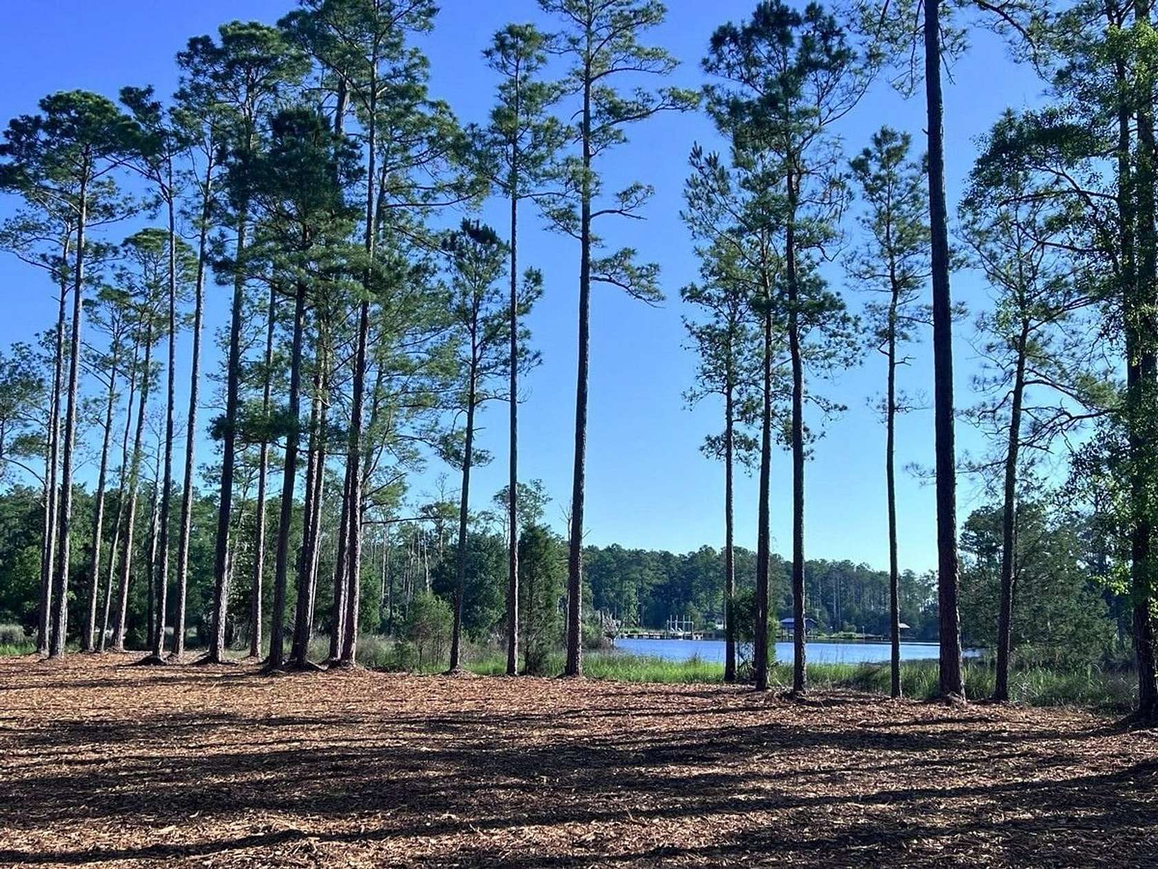 14.1 Acres of Recreational & Residential Land for Sale in Aurora, North Carolina