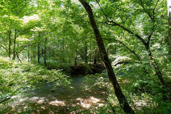 26 Acres of Land for Sale in Blountsville, Alabama