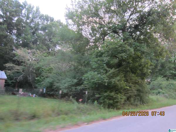0.3 Acres of Land for Sale in Shelby, Alabama