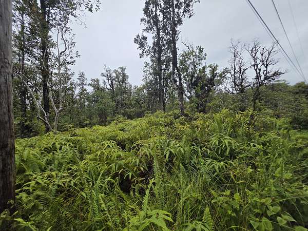 3 Acres of Land for Sale in Mountain View, Hawaii