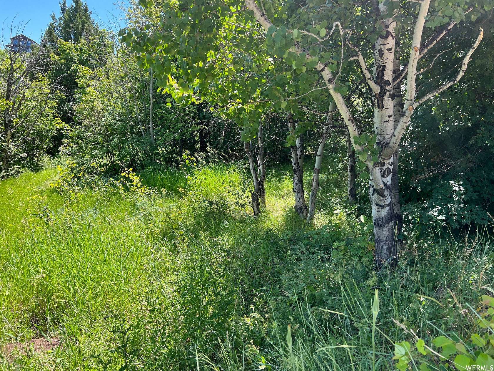 0.33 Acres of Residential Land for Sale in Garden City, Utah