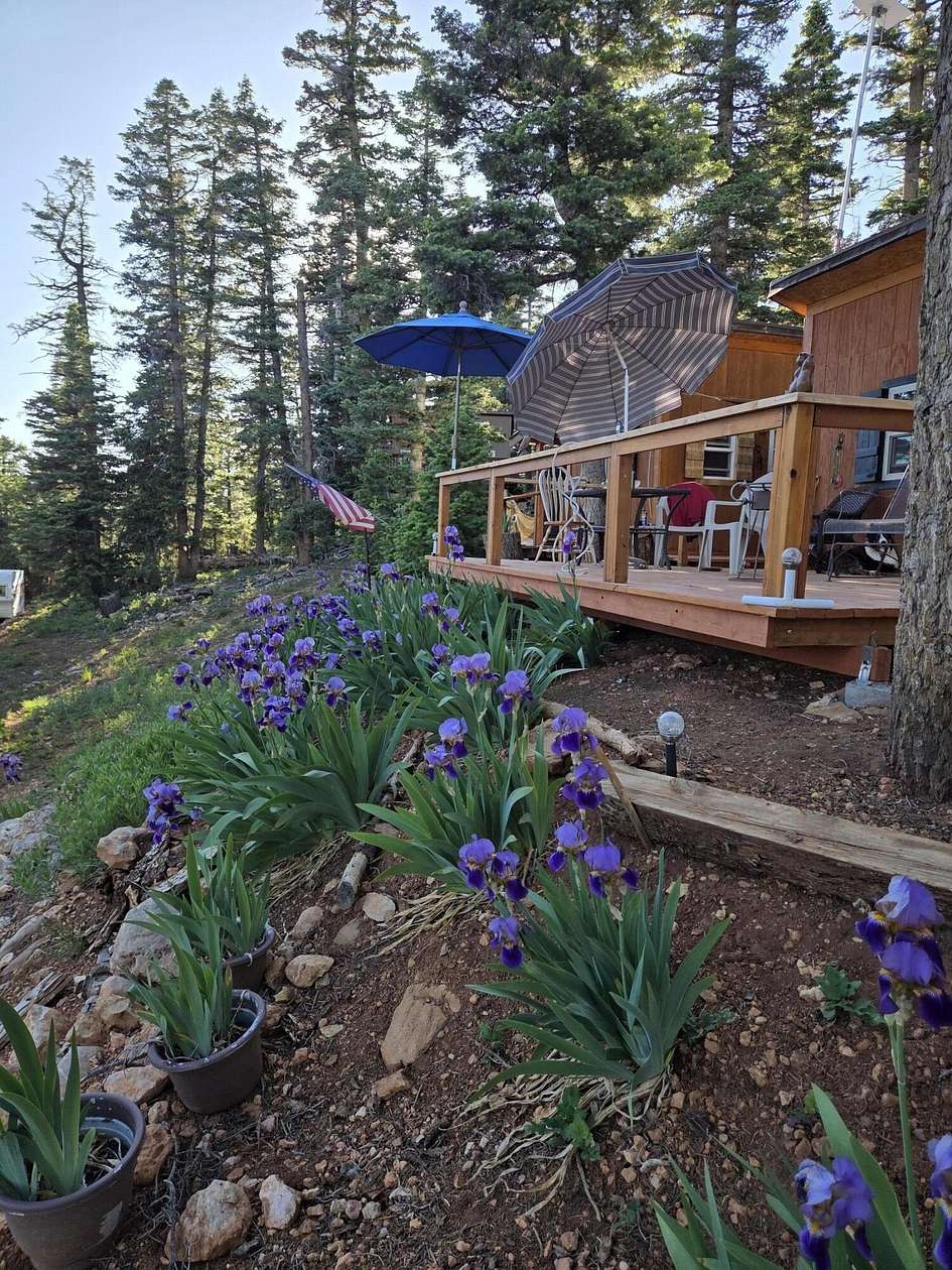 1 Acre of Land with Home for Sale in Duck Creek Village, Utah