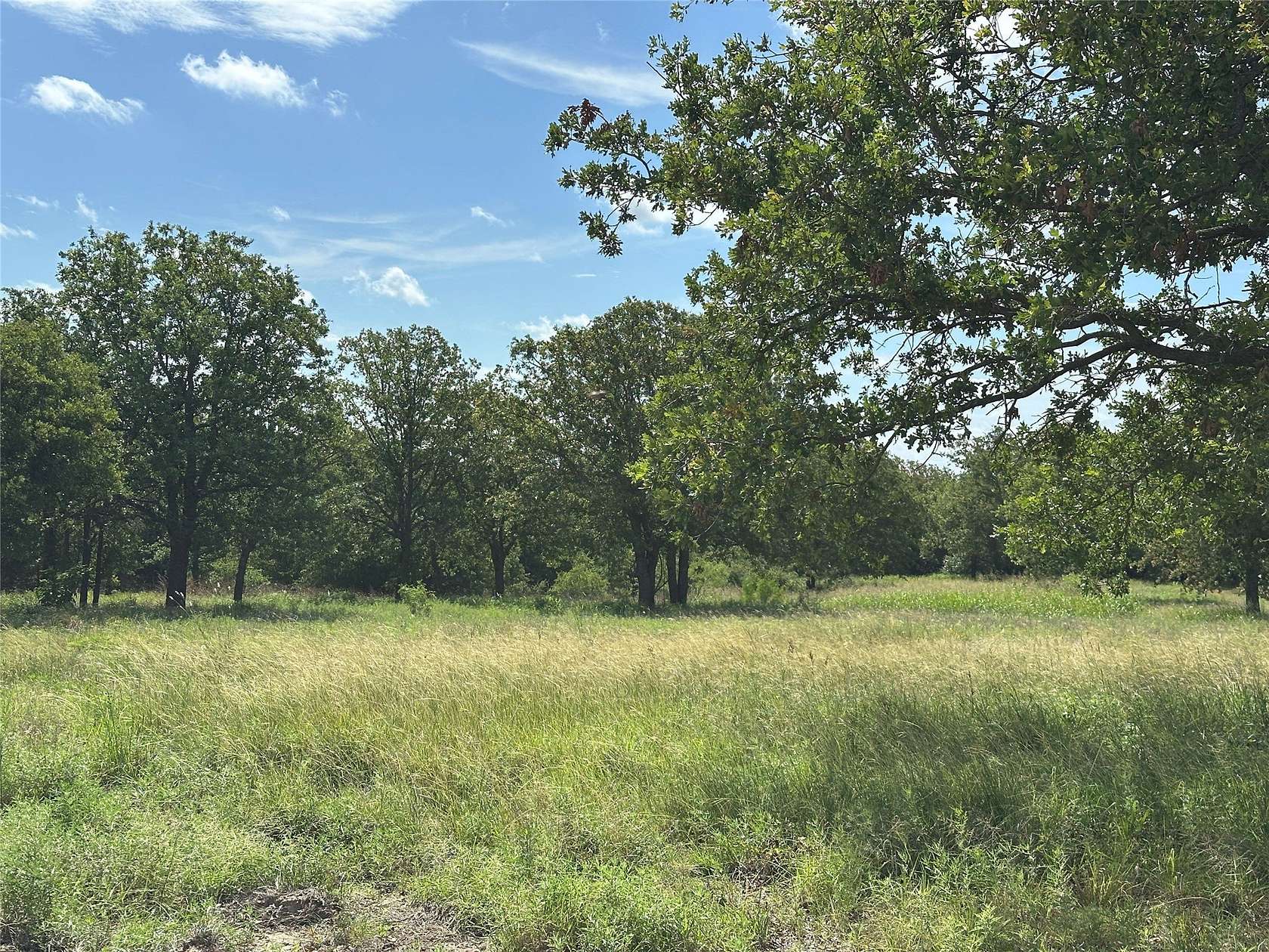 11 Acres of Recreational Land with Home for Sale in Springtown, Texas