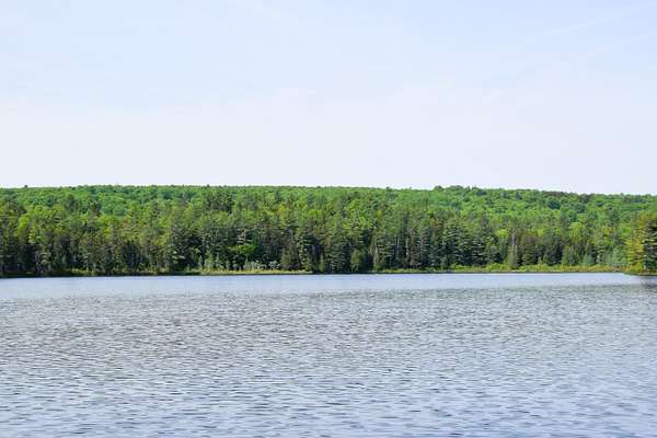 252 Acres of Recreational Land for Sale in Carrying Place Township, Maine