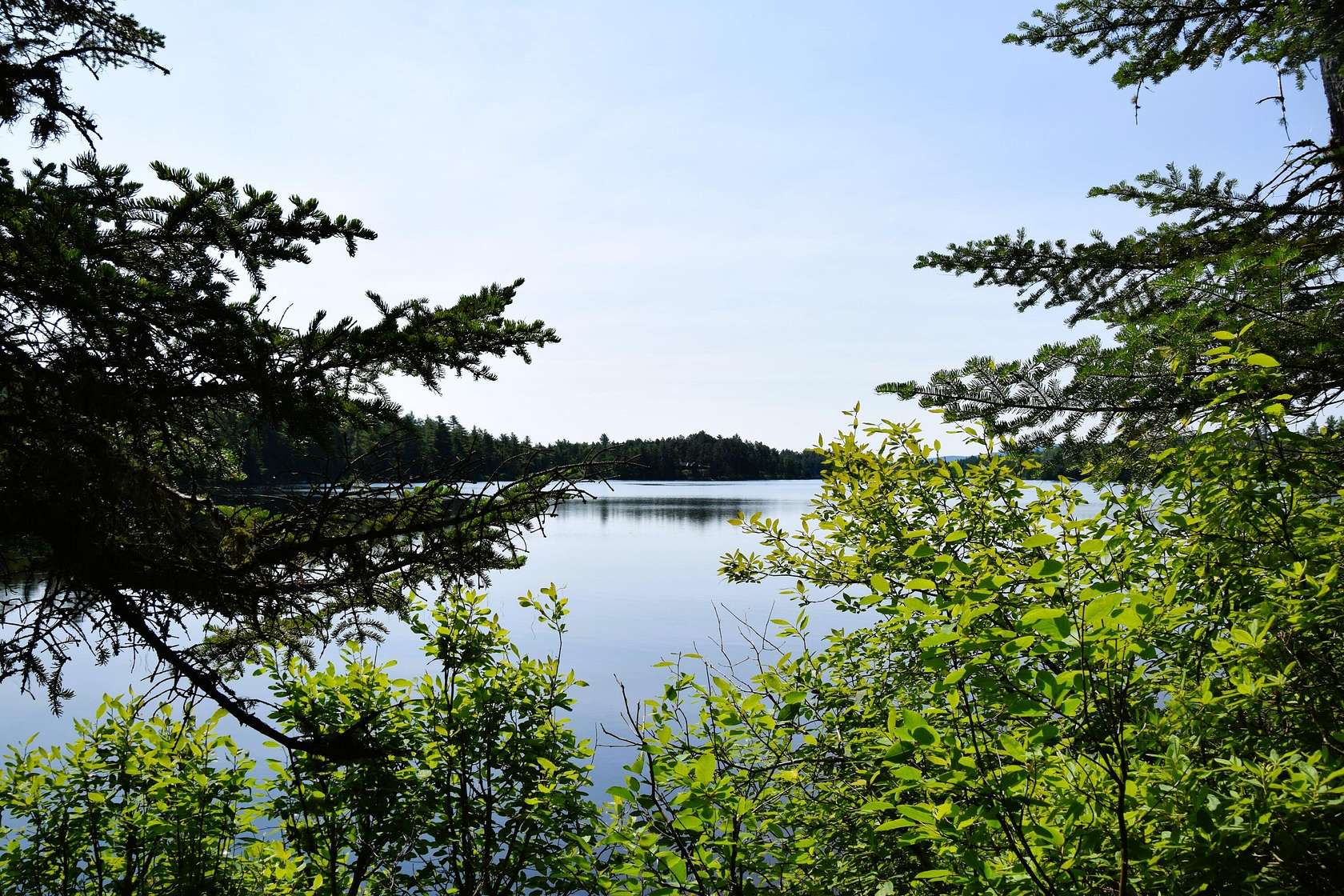 27.1 Acres of Recreational Land for Sale in Carrying Place Township, Maine