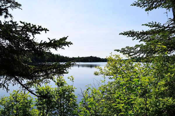 30 Acres of Recreational Land for Sale in Carrying Place Township, Maine
