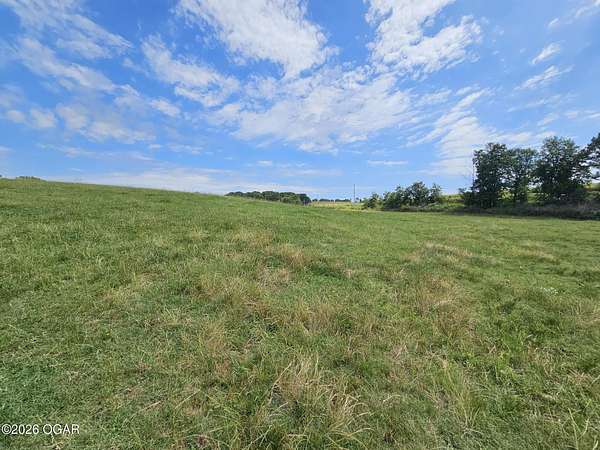 25 Acres of Agricultural Land for Sale in Anderson, Missouri