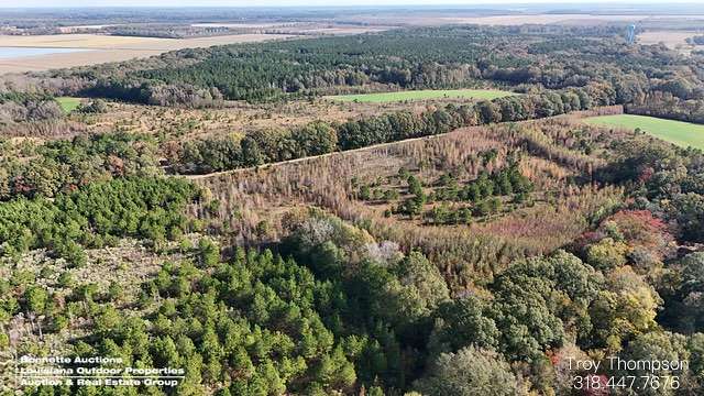 142 Acres of Recreational Land for Sale in Hessmer, Louisiana