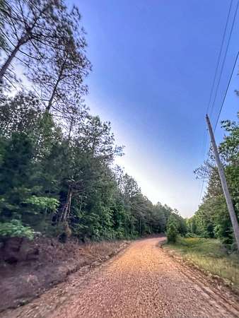 6.23 Acres of Residential Land for Sale in Bexar, Alabama