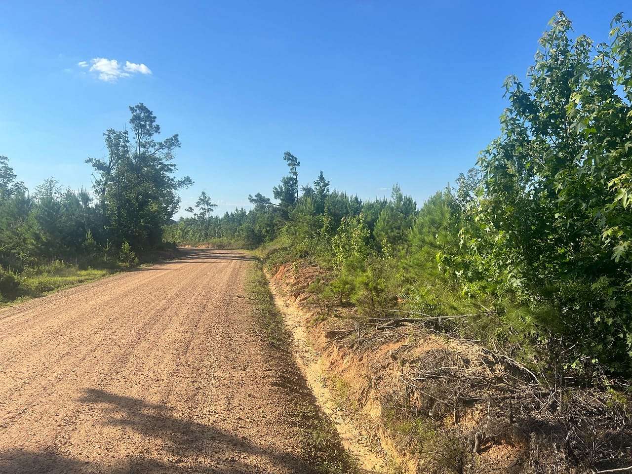 40.5 Acres of Recreational & Residential Land for Sale in Kosciusko, Mississippi