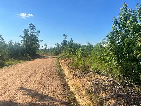 40.5 Acres of Recreational & Residential Land for Sale in Kosciusko, Mississippi
