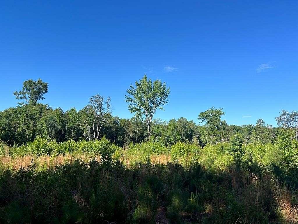7.42 Acres of Residential Land for Sale in Scottsburg, Virginia