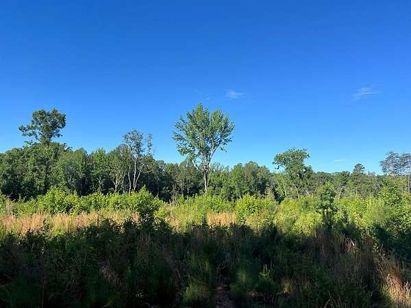 7.42 Acres of Residential Land for Sale in Scottsburg, Virginia