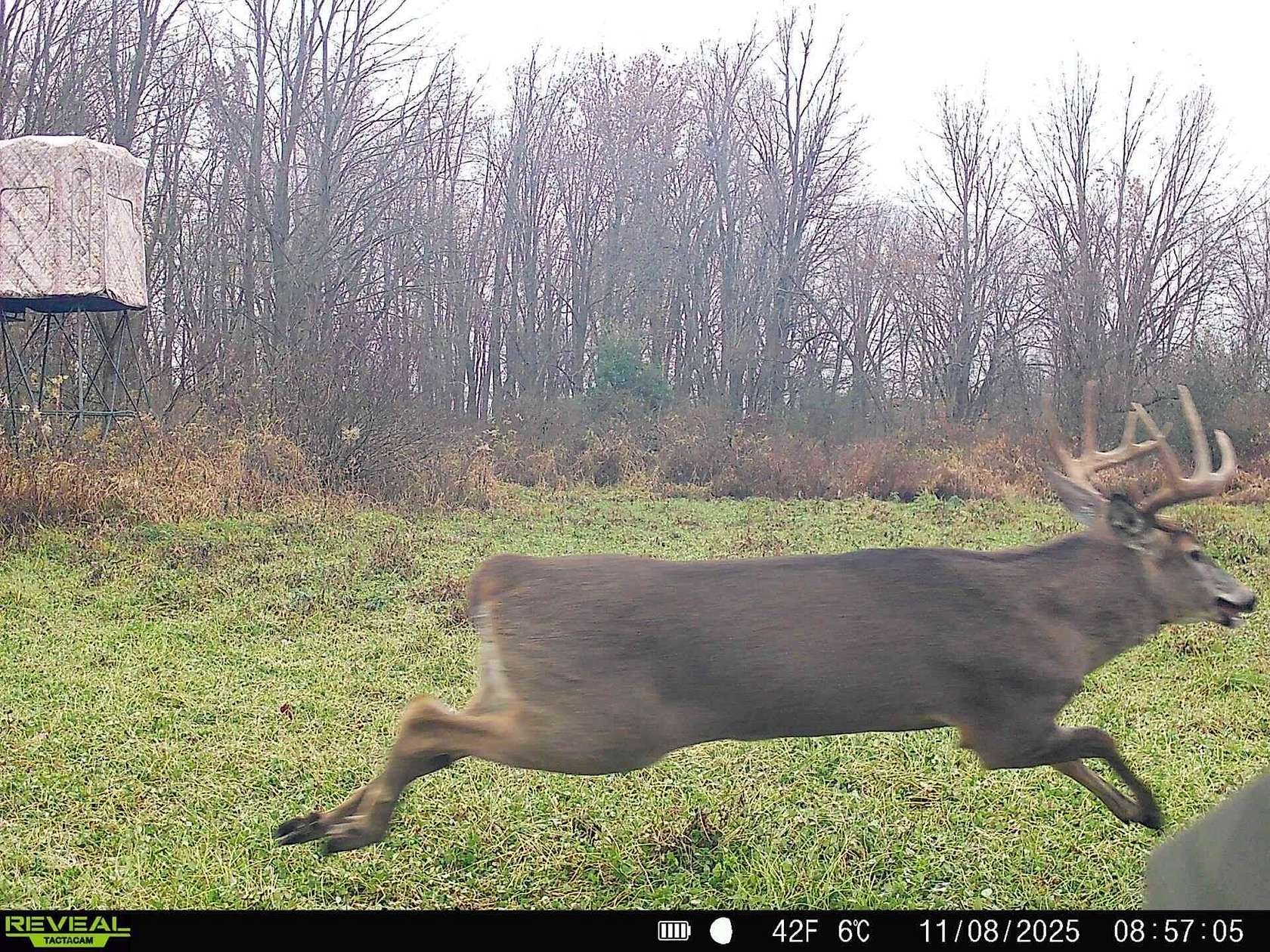 40 Acres of Recreational Land for Sale in Osseo, Michigan